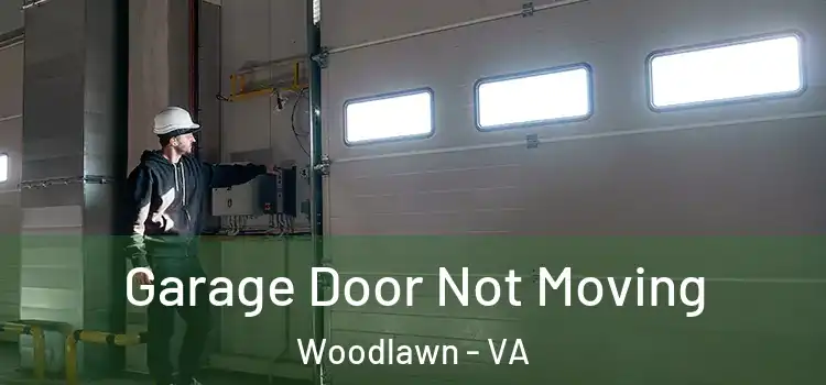  Garage Door Not Moving Woodlawn - VA
