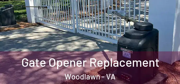  Gate Opener Replacement Woodlawn - VA