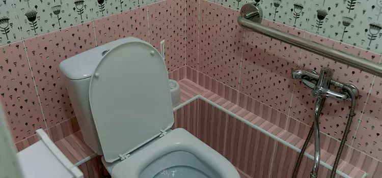 Meeting Diverse Needs With Accessible Restroom Solutions in Woodlawn, VA