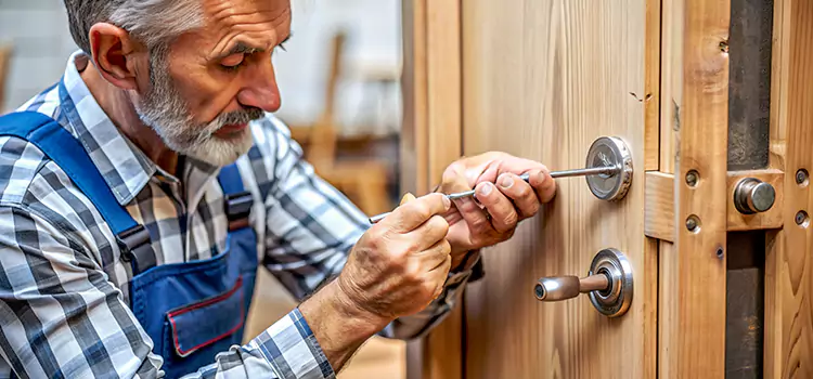 Mortise Replacement Lock Woodlawn